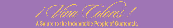 Viva Colores Book Site Button